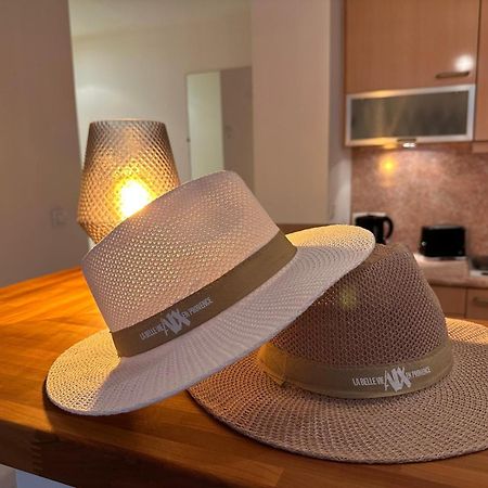 Superbe Appartement Avec Jardin Quart Mazarin Aix-en-Provence Eksteriør billede