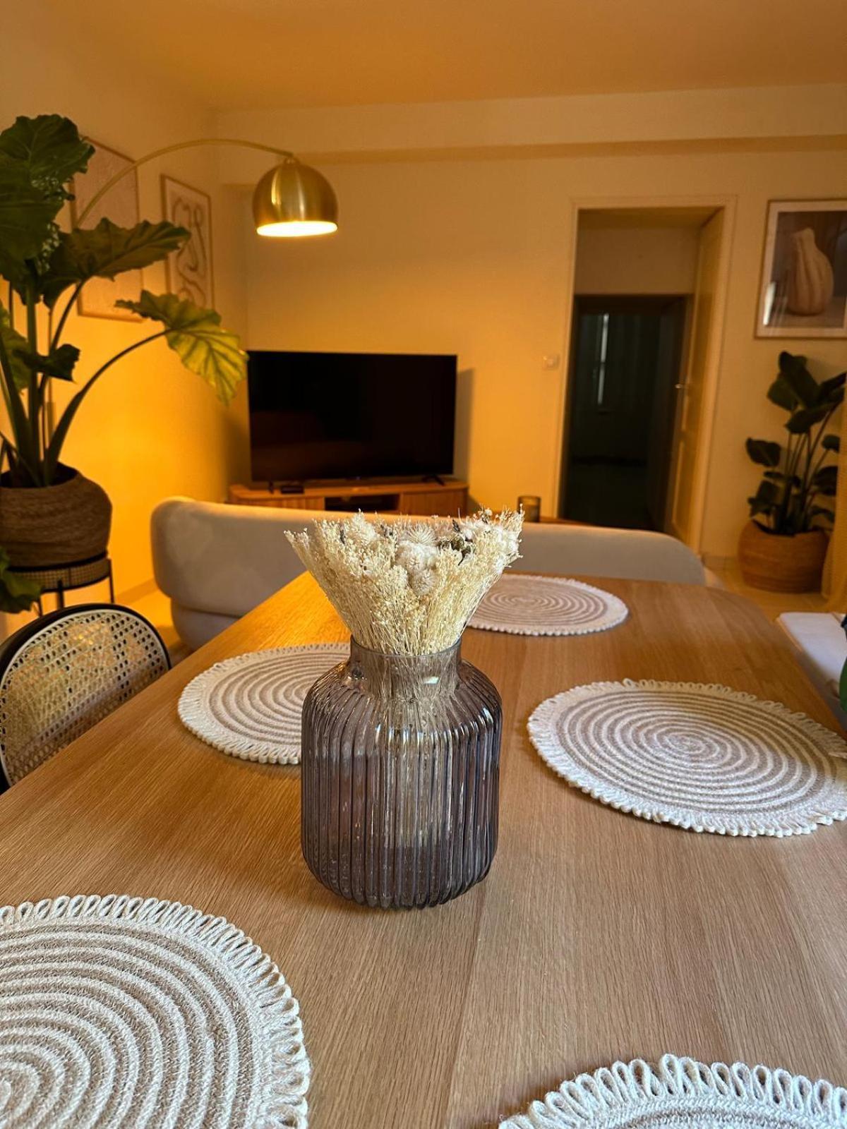 Superbe Appartement Avec Jardin Quart Mazarin Aix-en-Provence Eksteriør billede