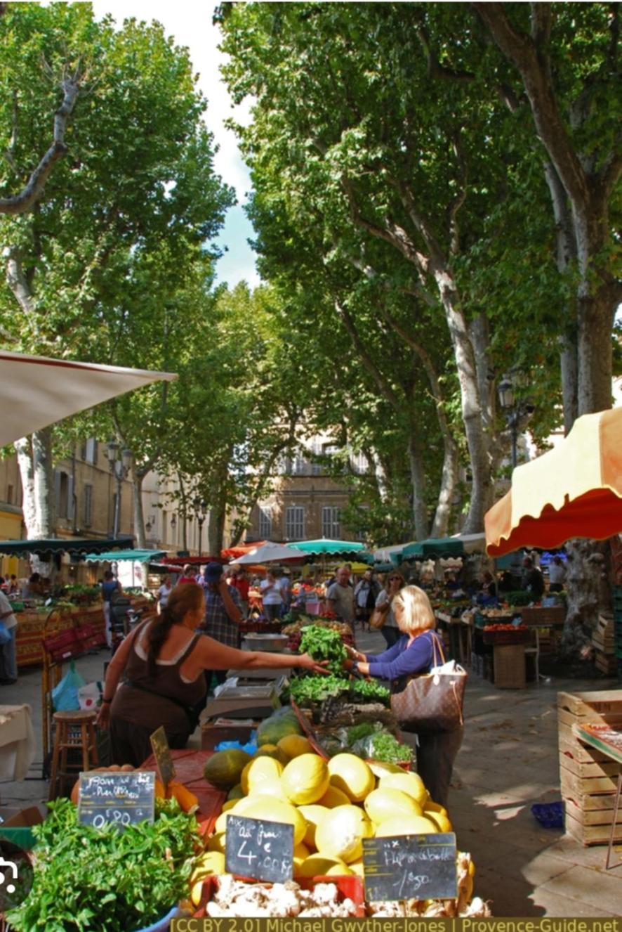 Superbe Appartement Avec Jardin Quart Mazarin Aix-en-Provence Eksteriør billede